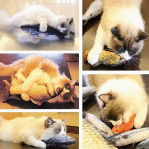 Juguete Pez para Gatos