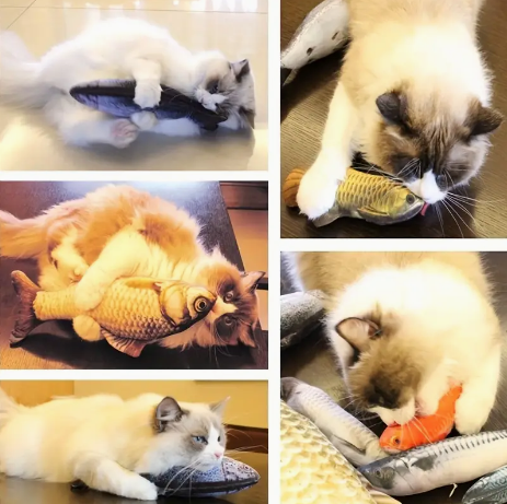 Juguete Pez para Gatos